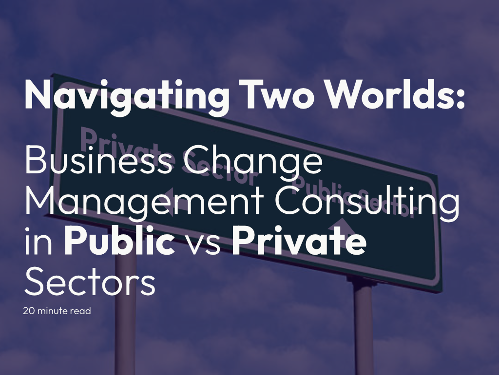 Navigating Two Worlds: Business Change Management Consulting in Public vs Private Sectors