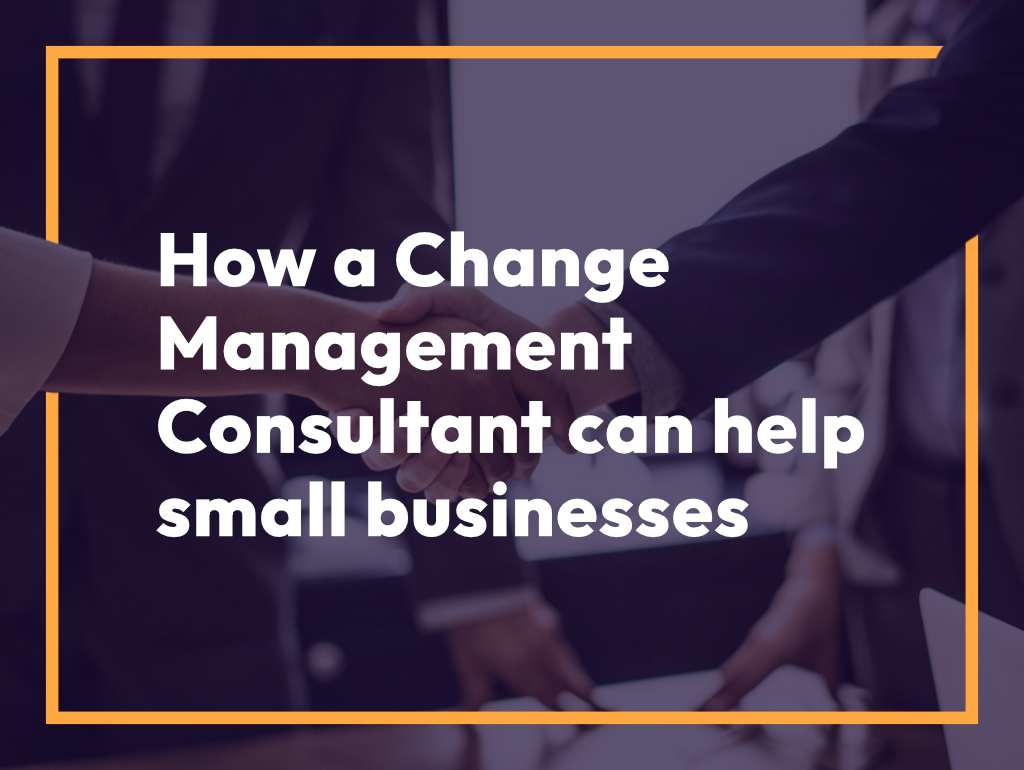 How a Change Management Consultant Can Help Small Businesses