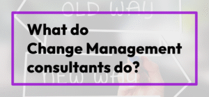 What Do Change Management Consultants Do?