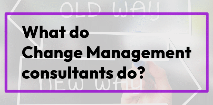 What Do Change Management Consultants Do?
